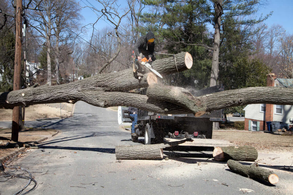 Efficient Tree Removal