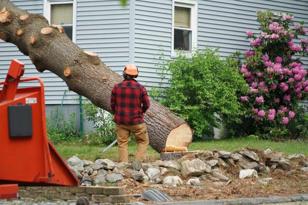 Efficient Tree Removal